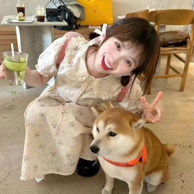我爱已不爱你 在线观看