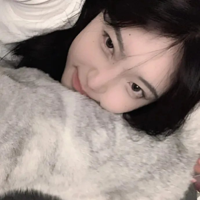 偷龙转猫 在线观看